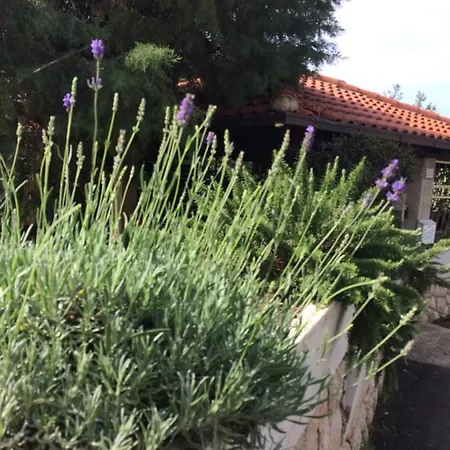 Sanmari Πανσιόν Novi Vinodolski