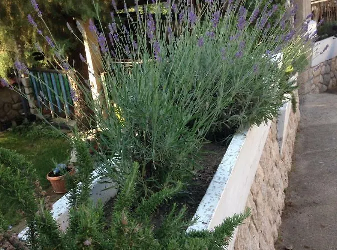 Gasthuis Sanmari Novi Vinodolski