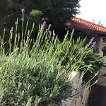 Sanmari Guest house Novi Vinodolski