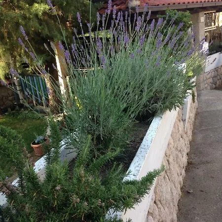 Guest house Sanmari Novi Vinodolski